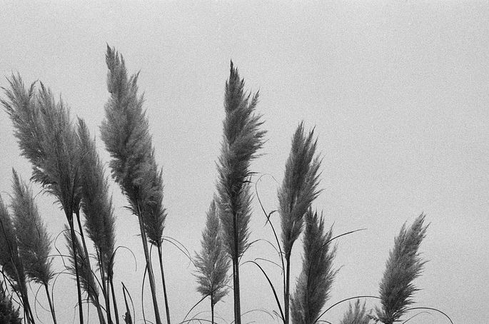 Copywriting mistakes cover image